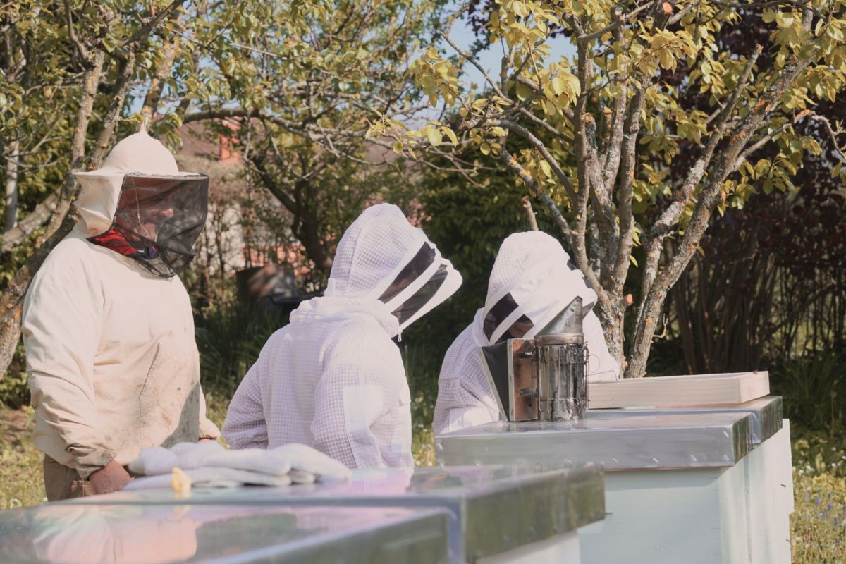 Filip Šinko Morandini and companions beekeeping.JPG